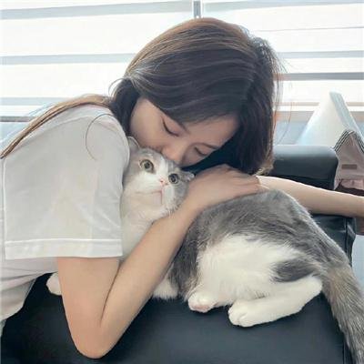 命运小说家